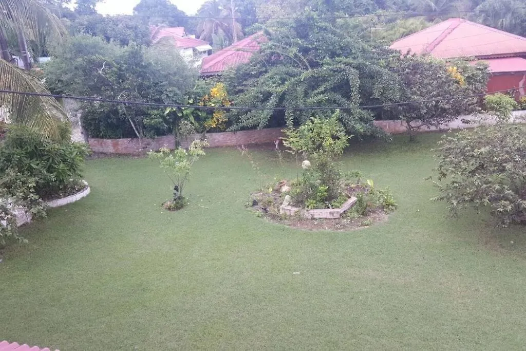 L'Appartement Papaye Le Gosier  Guadeloupe