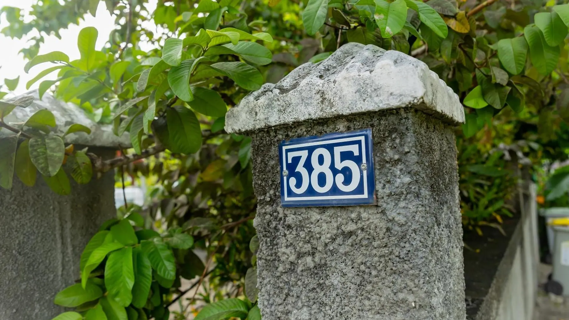 Lejlighed L'Appartement Papaye Le Gosier  Guadeloupe